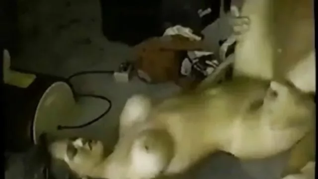 Nóng khiêu dâm, không giấy đăng ký  Nga cô gái chị với một người trong một nhà sec hay khong che hàng